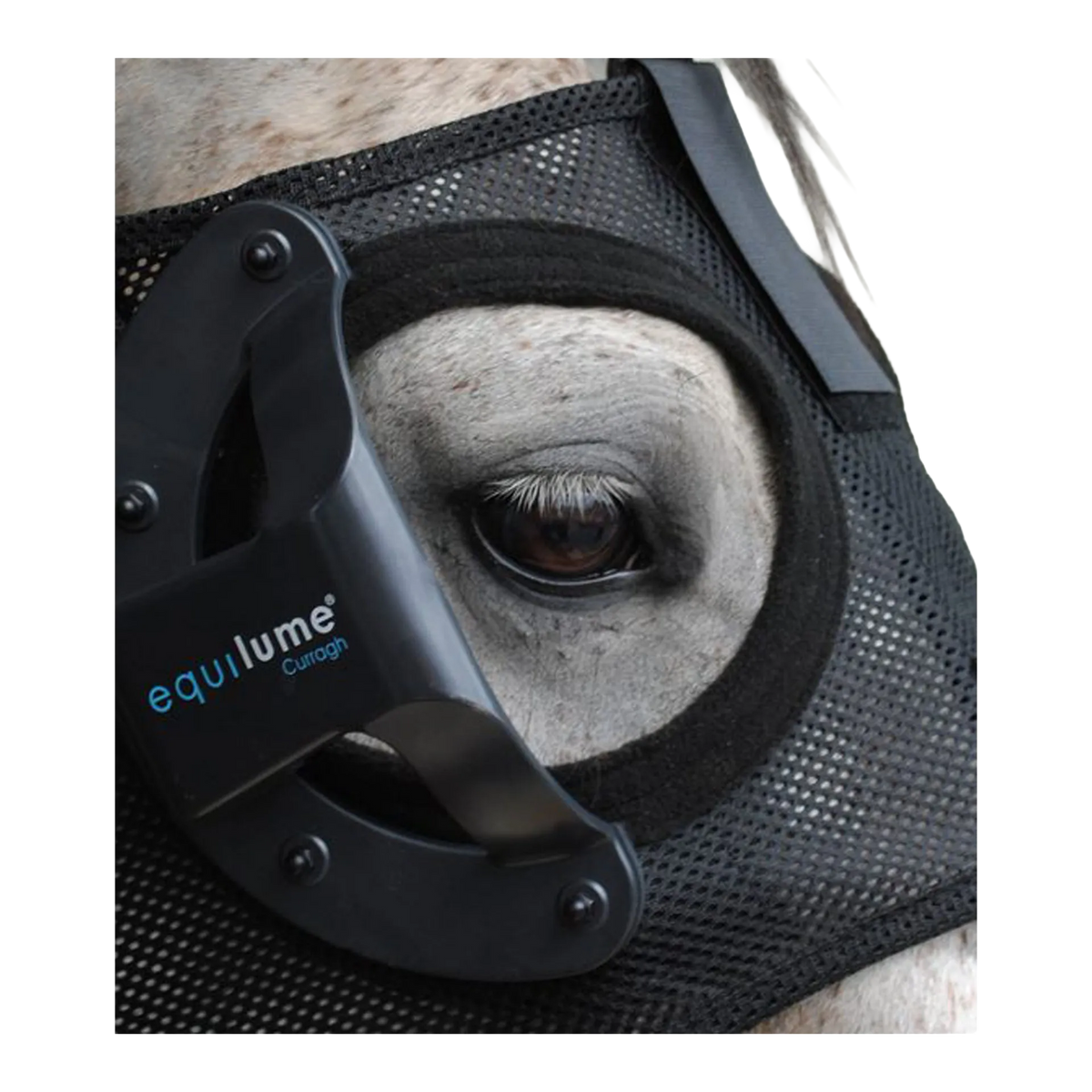 Equilume Replacement Cup,"Black cup attachment mounted on horse eye mask"