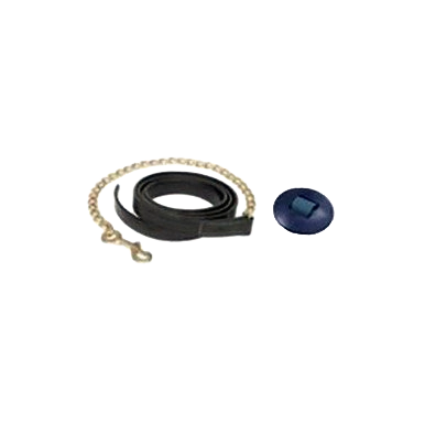 Leather Lead Shank,"Coiled black leather strap with chain and blue disc"