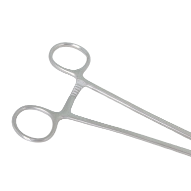 Metal Forceps,"Ring-handled metal forceps close-up"