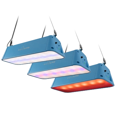 Equilume Stable Light V3, Nature's Light Indoors,"Three suspended blue stable lights with illuminated undersides"
