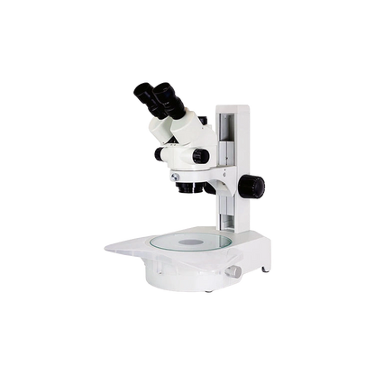 Embryo-Glo Stereo Microscope,"White stereo microscope with dual eyepieces and glass stage"