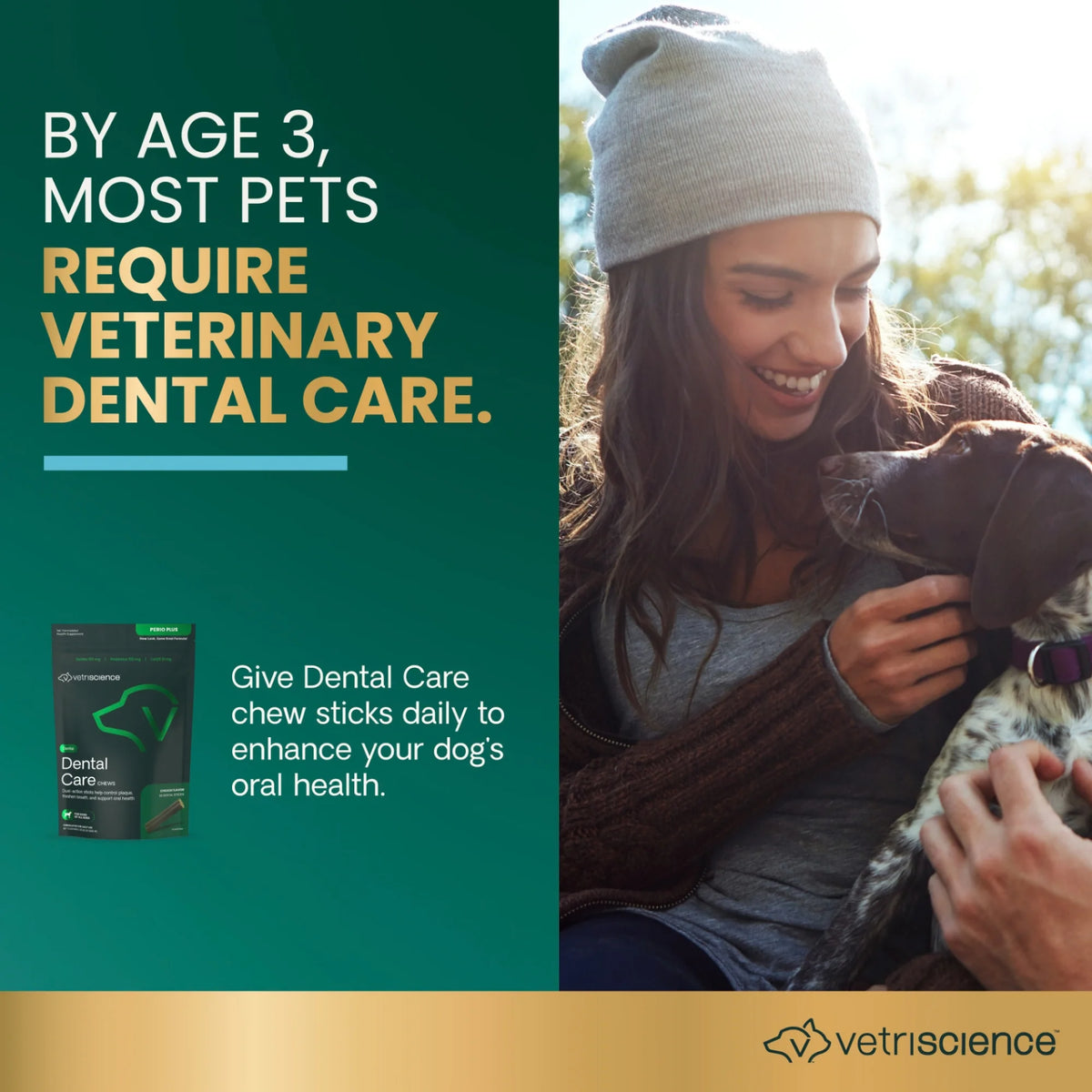 Dental Care Dental Chews for Dogs by VetriScience
