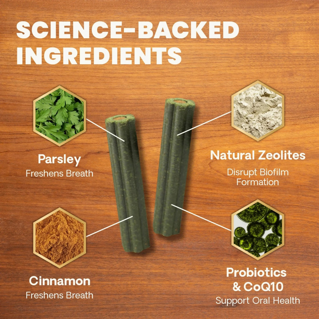 Dental Care Dental Chews for Dogs by VetriScience