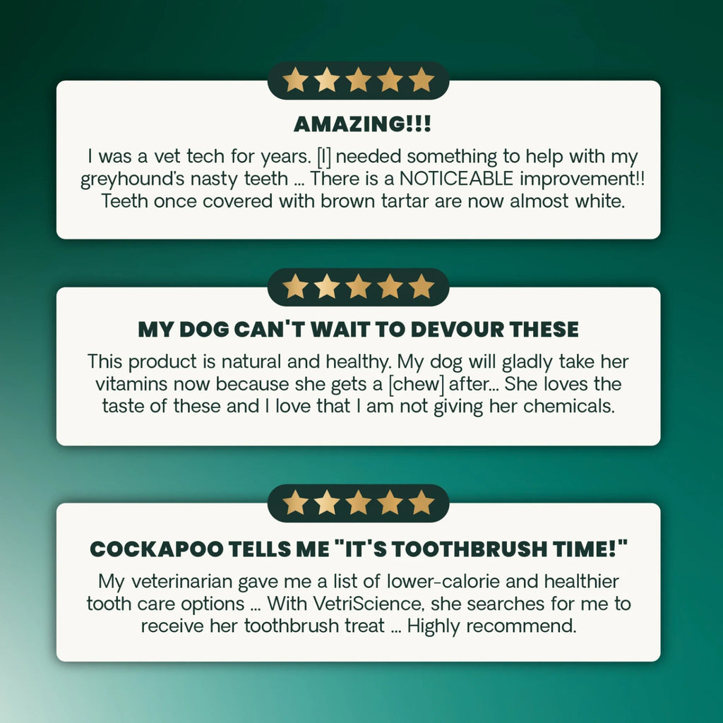 Dental Care Dental Chews for Dogs by VetriScience