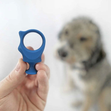 BrushMate Biteblock,"Blue ring-shaped pet training aid held in hand"