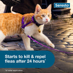 Seresto® Flea & Tick Collars for Cats & Dogs,"Orange and white cat wearing a purple collar and leash"