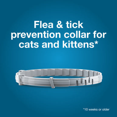 Seresto® Flea & Tick Collars for Cats & Dogs,"Gray flea and tick collar shown coiled"