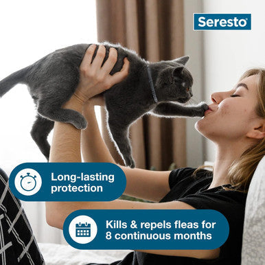 Seresto® Flea & Tick Collars for Cats & Dogs,"Woman holding gray cat in lifestyle scene"