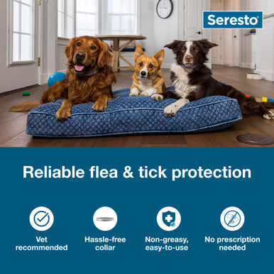 Seresto® Flea & Tick Collars for Cats & Dogs,"Three dogs on a blue pet bed in a room"