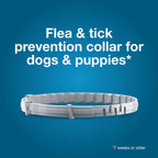 Seresto® Flea & Tick Collars for Cats & Dogs,"Gray flea and tick collar coiled flat"