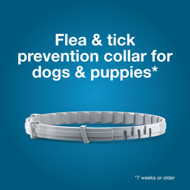 Seresto® Flea & Tick Collars for Cats & Dogs,"Gray flea and tick collar coiled flat"