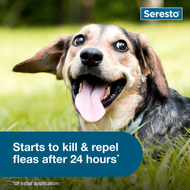 Seresto® Flea & Tick Collars for Cats & Dogs,"Dog lying in grass with blue text overlay"