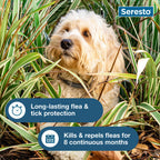 Seresto® Flea & Tick Collars for Cats & Dogs,"Small dog sitting in tall grass"