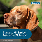 Seresto® Flea & Tick Collars for Cats & Dogs,"Dog wearing flea and tick collar"