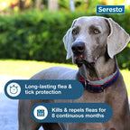 Seresto® Flea & Tick Collars for Cats & Dogs,"Gray dog wearing blue and red collar outdoors"