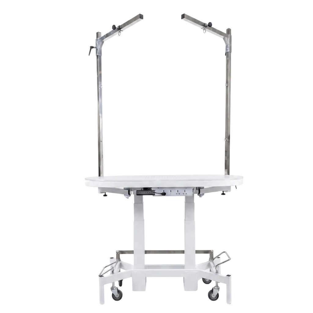 Premium Electric Table by TZGroom