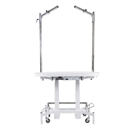 Premium Electric Table by TZGroom