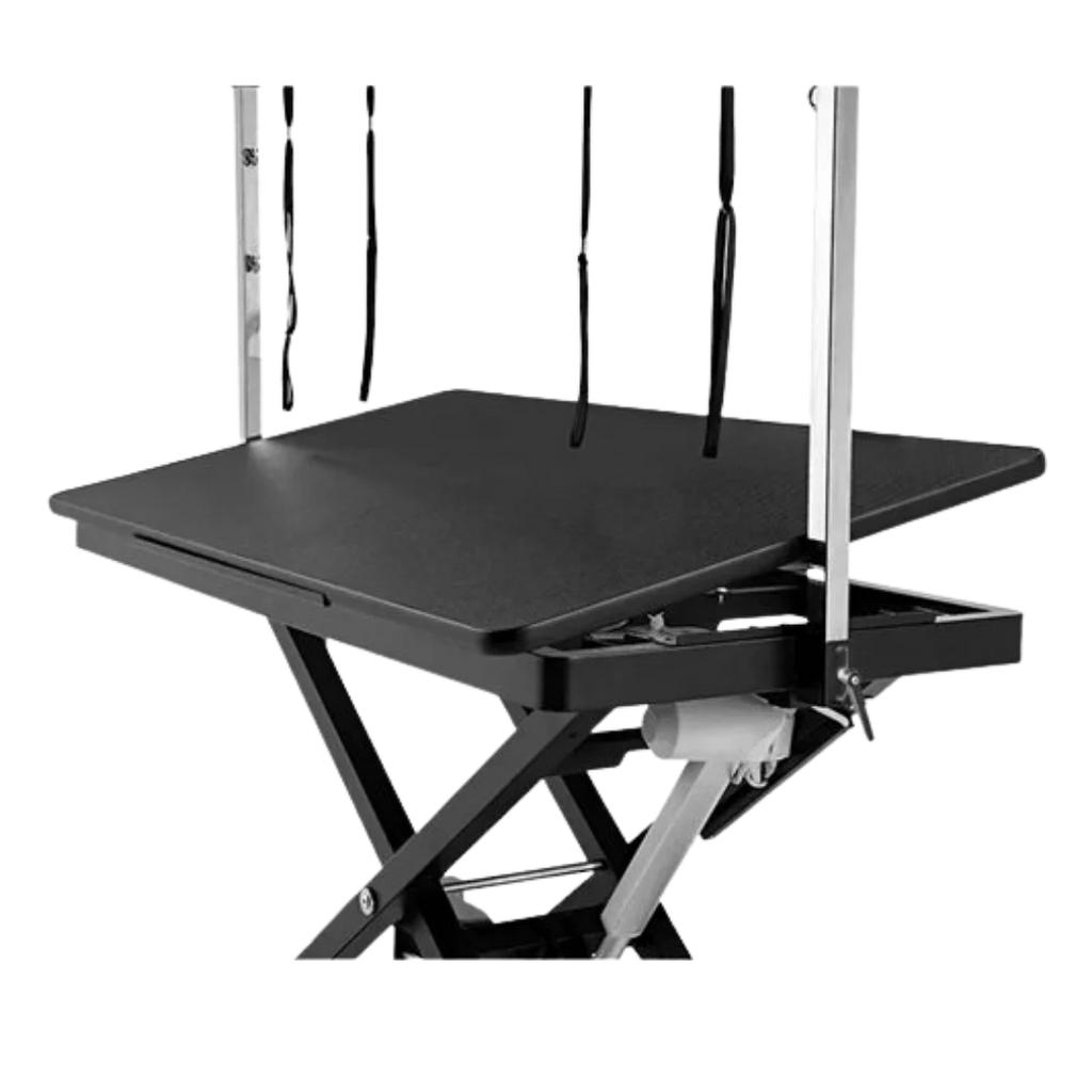 "52"" Dog Grooming 999 Electric Table without Drawer by Waggz","Electric grooming table with overhead arm and side drawer"