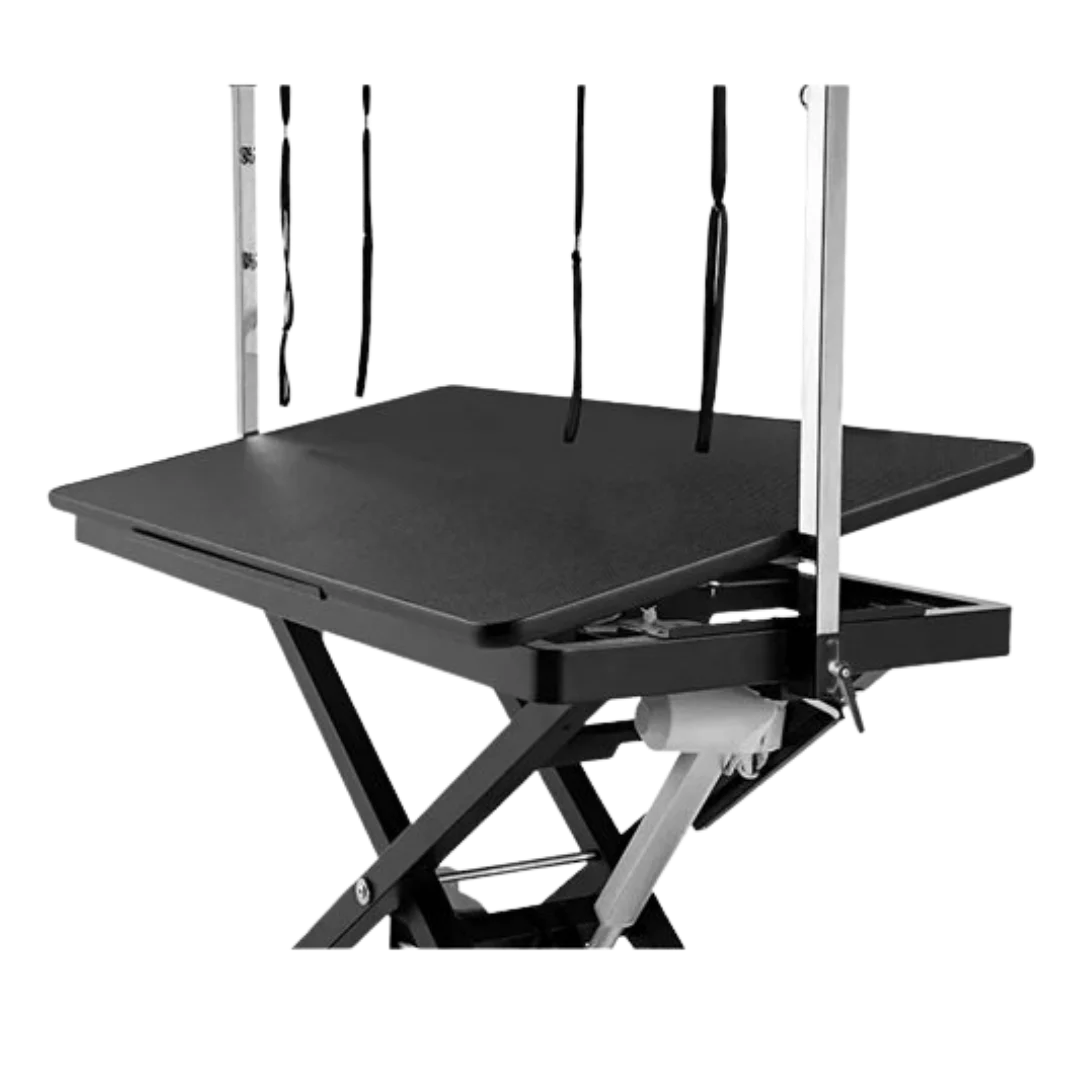 "52"" Dog Grooming 999 Electric Table without Drawer by Waggz","Electric grooming table with overhead arm and side drawer"
