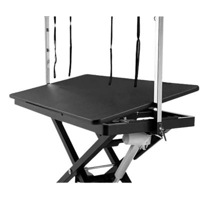 "52"" Dog Grooming 999 Electric Table without Drawer by Waggz","Electric grooming table with overhead arm and side drawer"