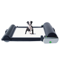 BrilliantPad Pro,"Small puppy standing on indoor potty tray system"
