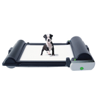 BrilliantPad Pro,"Small puppy standing on indoor potty tray system"