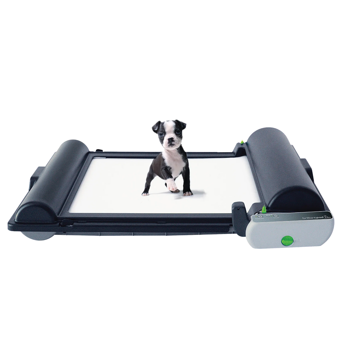 BrilliantPad Pro – Revival Animal Health