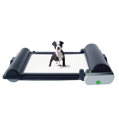 BrilliantPad Pro,"Small puppy standing on indoor potty tray system"