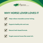 Summer Eczema,"Informational graphic with horse logo and four checkmark bullet points"