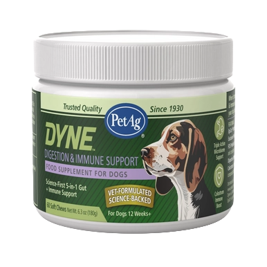 PetAg Dyne Soft Chews Digestion & Immune Support,"White plastic supplement jar with green label and dog illustration"