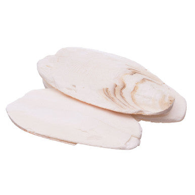 Cuttlebone,"Two stacked oval cuttlebone pieces"