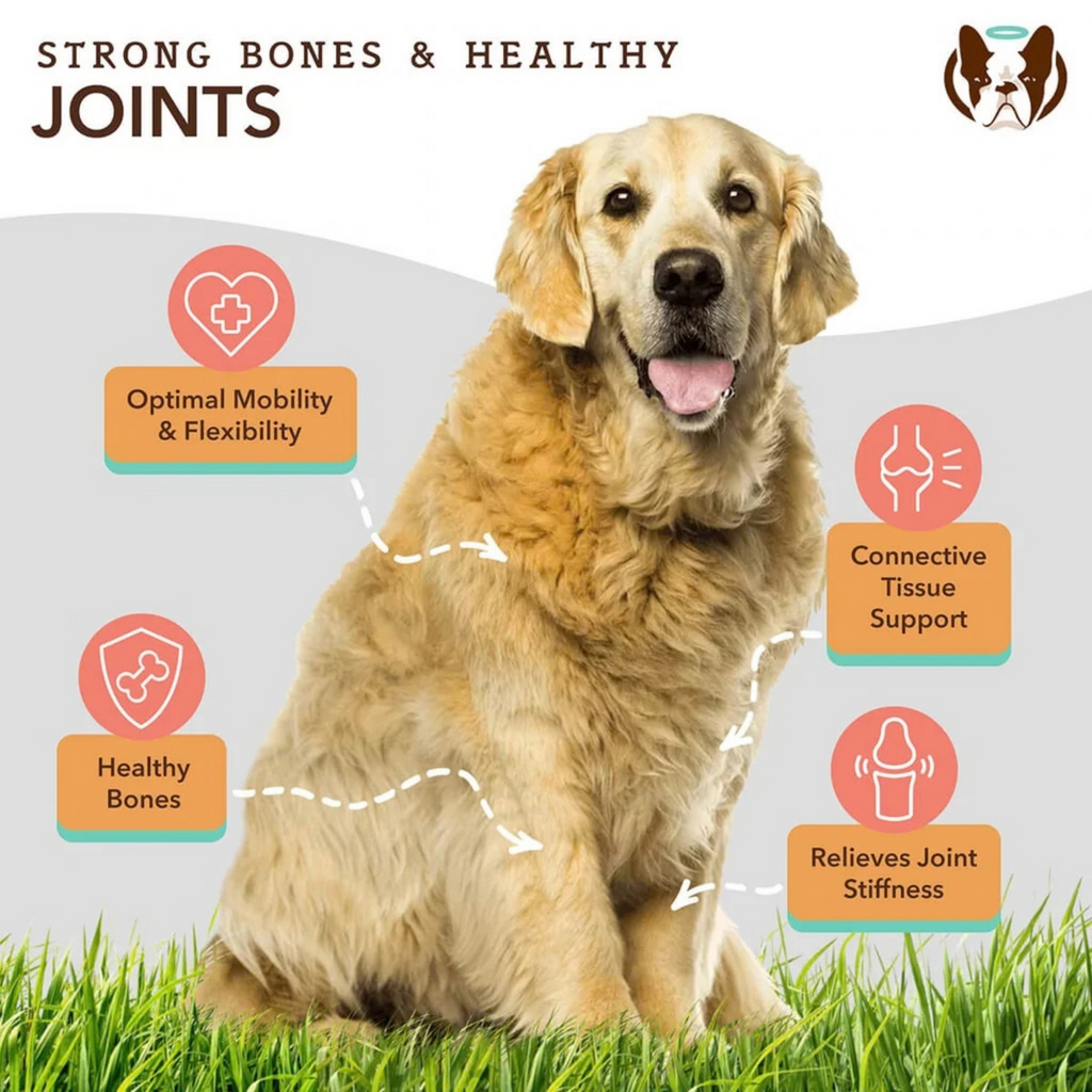 Hip & Joint Supplement by Natural Dog Company