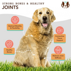 Hip & Joint Supplement by Natural Dog Company