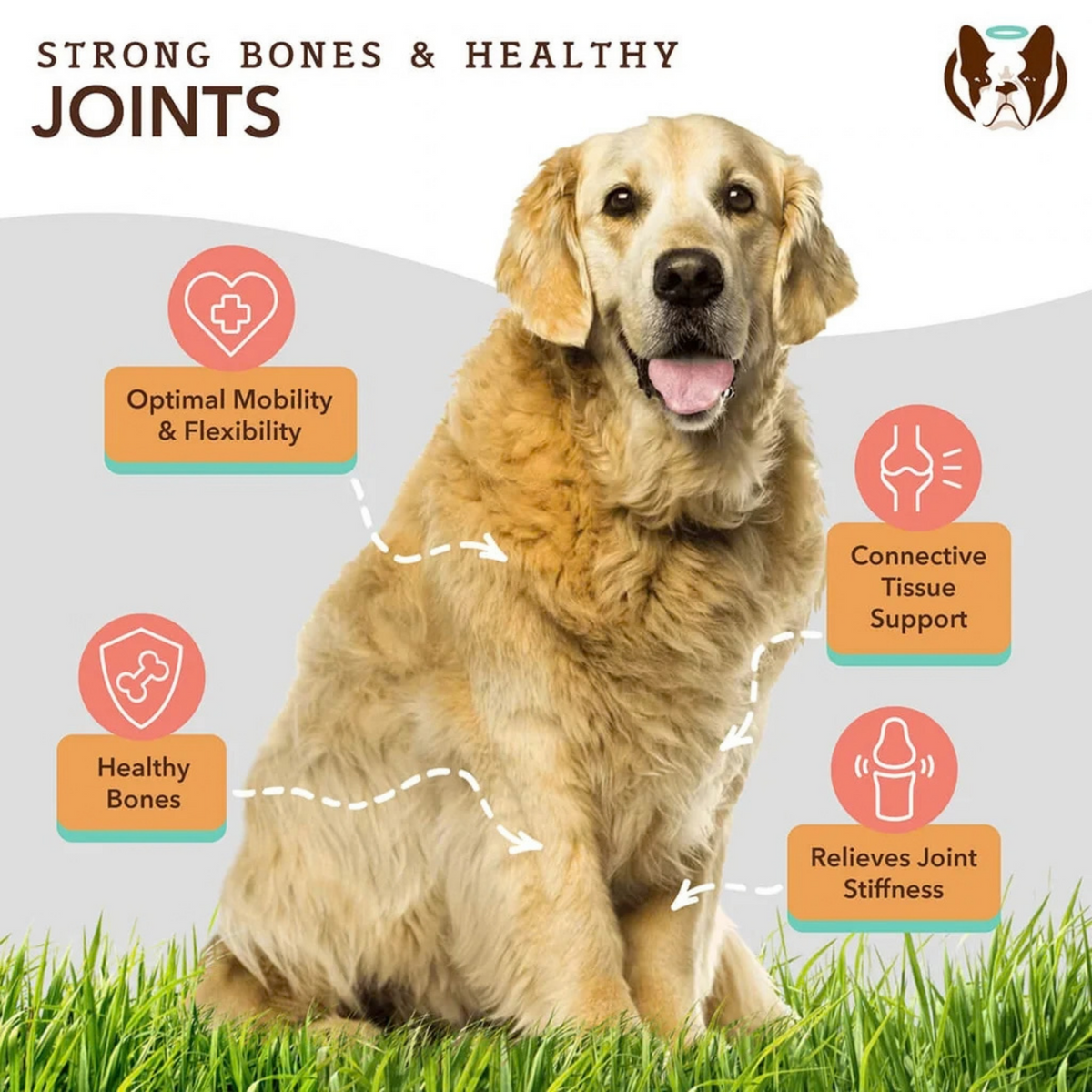 Hip & Joint Supplement by Natural Dog Company