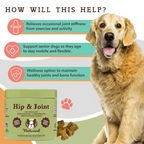Hip & Joint Supplement by Natural Dog Company