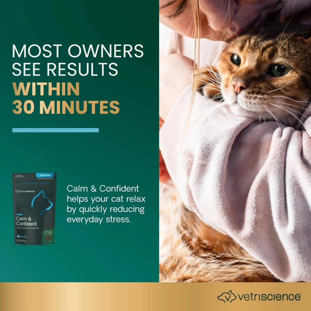 Calm & Confident for Cats by VetriScience