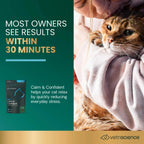 Calm & Confident for Cats by VetriScience