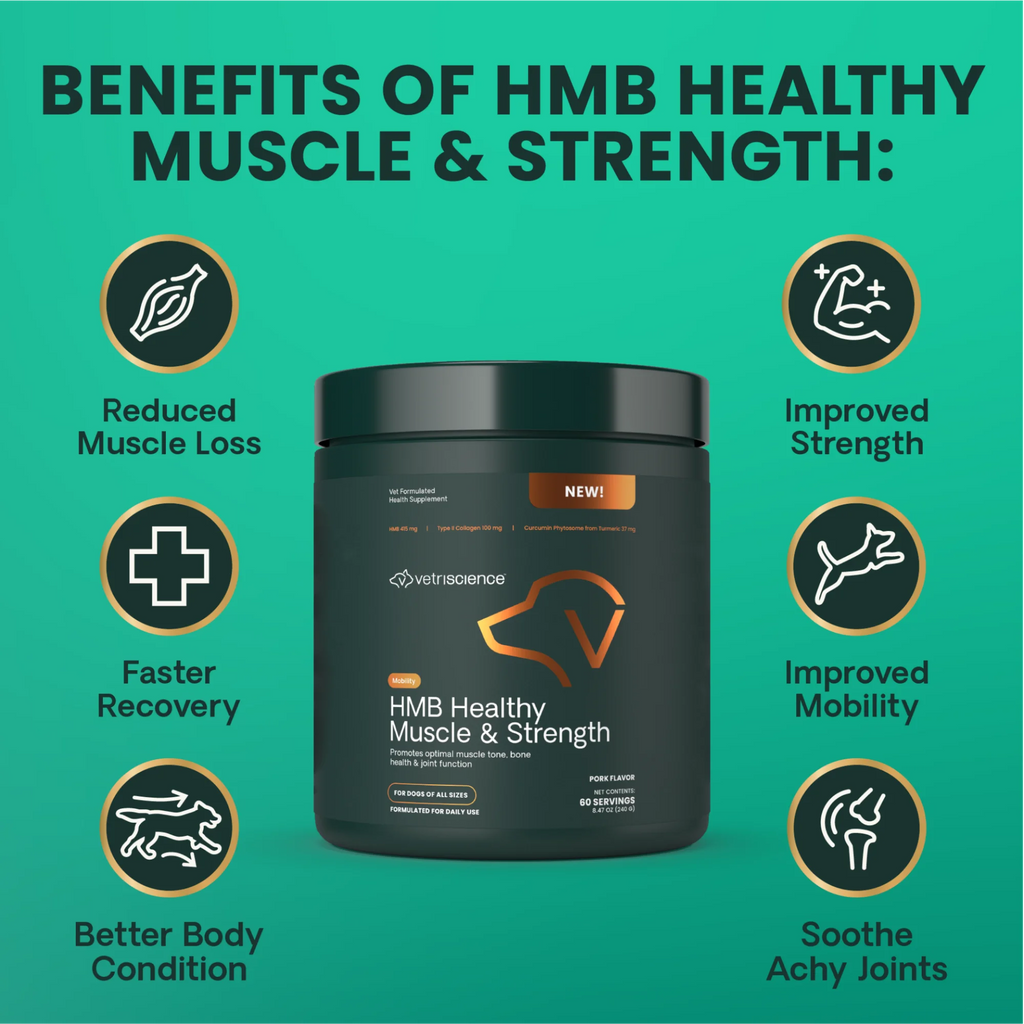 HMB Healthy Muscle & Strength Powder for Dogs by VetriScience