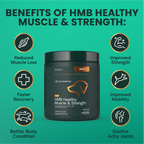 HMB Healthy Muscle & Strength Powder for Dogs by VetriScience