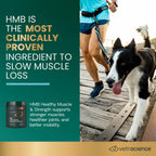 HMB Healthy Muscle & Strength Powder for Dogs by VetriScience
