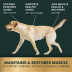 HMB Healthy Muscle & Strength Powder for Dogs by VetriScience