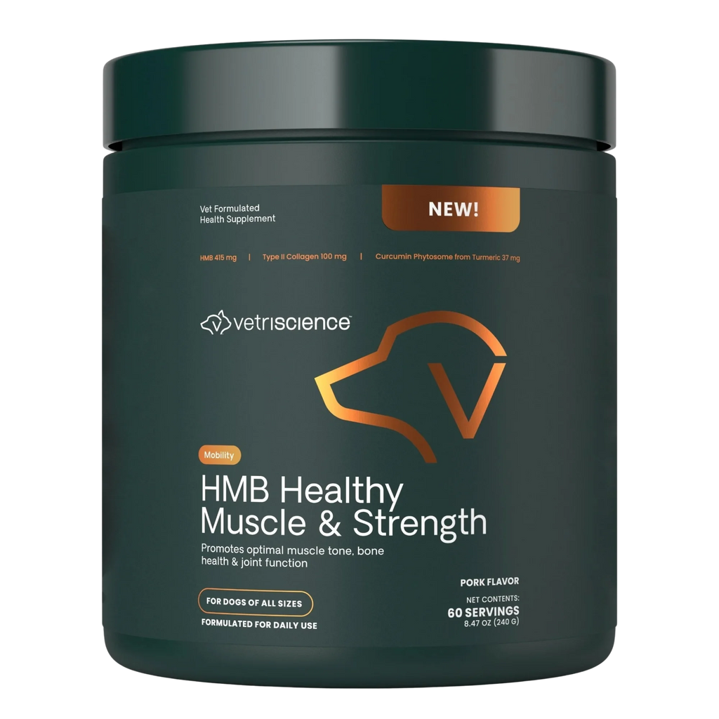 HMB Healthy Muscle & Strength Powder for Dogs by VetriScience