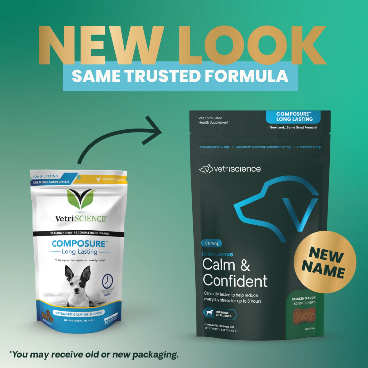 Long Lasting Calm & Confident for Dogs by VetriScience