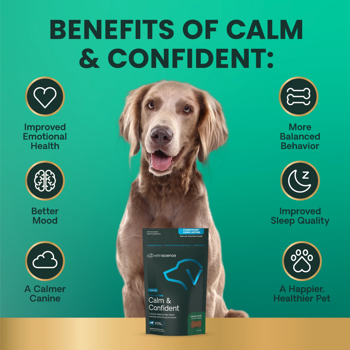 Long Lasting Calm & Confident for Dogs by VetriScience