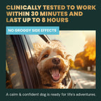 Long Lasting Calm & Confident for Dogs by VetriScience