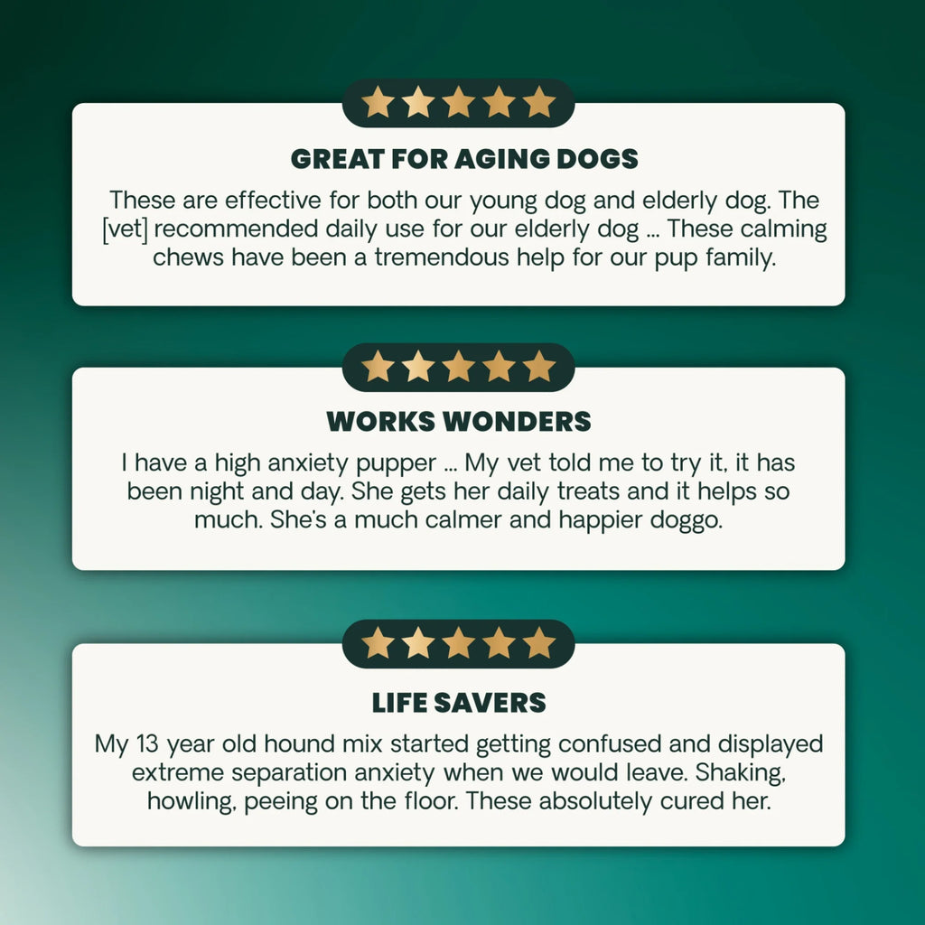 Long Lasting Calm & Confident for Dogs by VetriScience