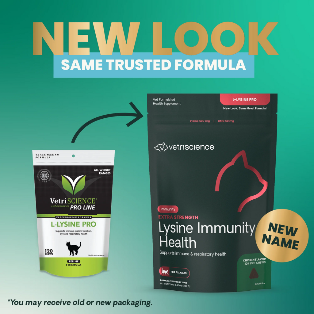 Extra Strength Lysine Immunity Health for Cats by VetriScience