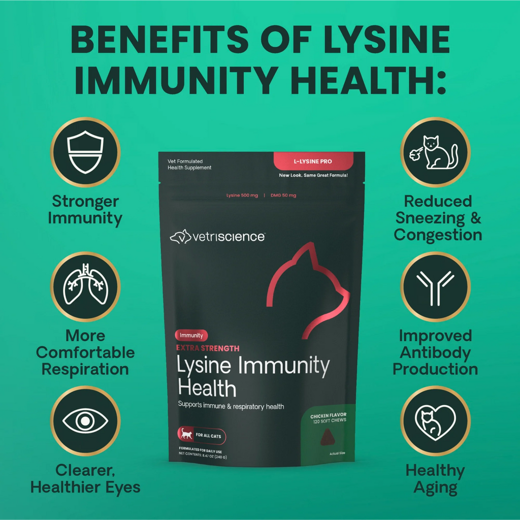 Extra Strength Lysine Immunity Health for Cats by VetriScience