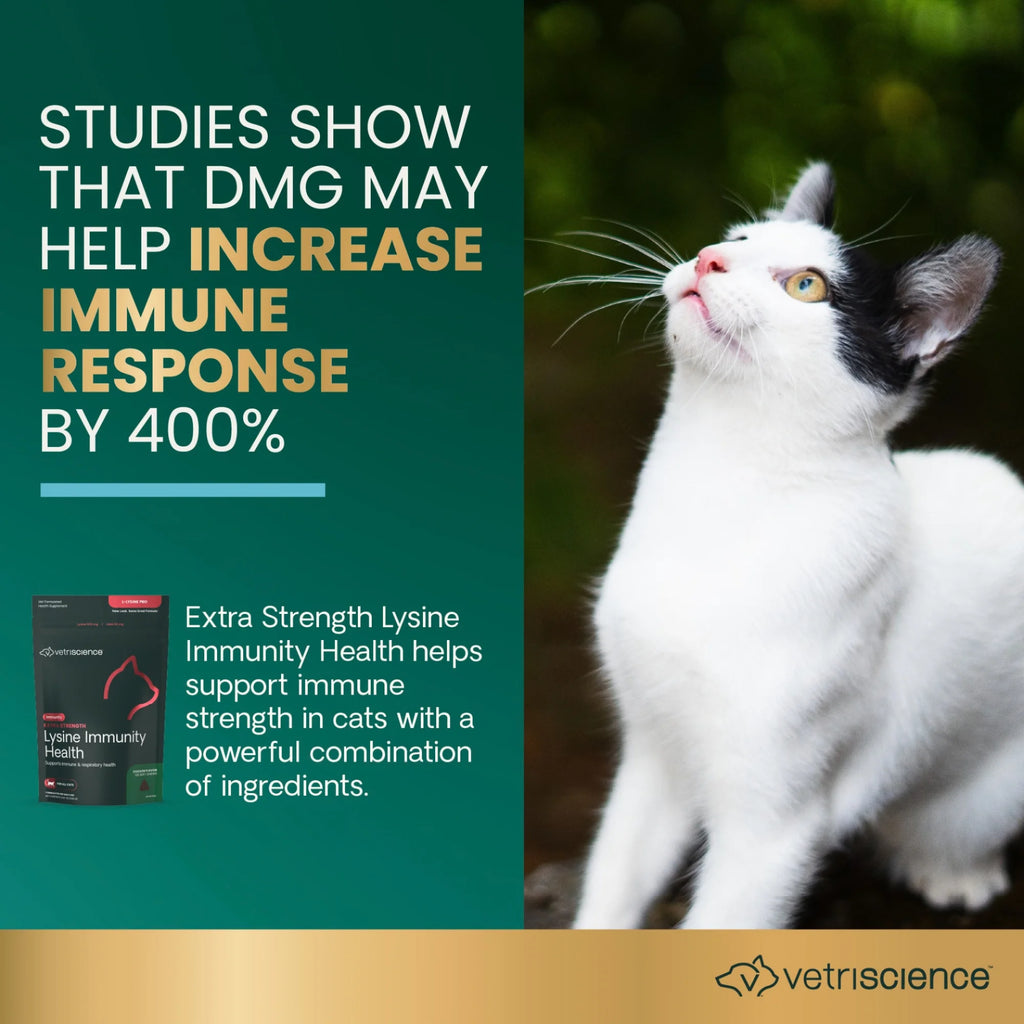 Extra Strength Lysine Immunity Health for Cats by VetriScience