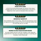 Extra Strength Healthy Skin & Coat for Dogs by VetriScience